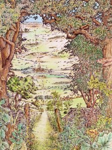 Ley-line in the English countryside by Unbekannt Unbekannt
